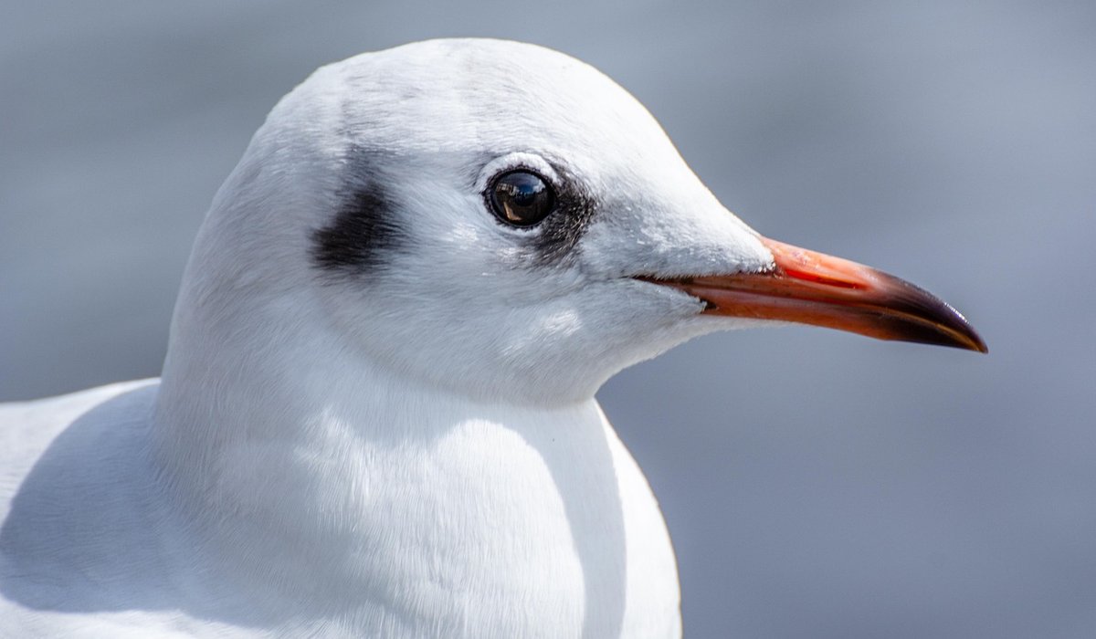 A Seasonal Guide to British Nature Walks