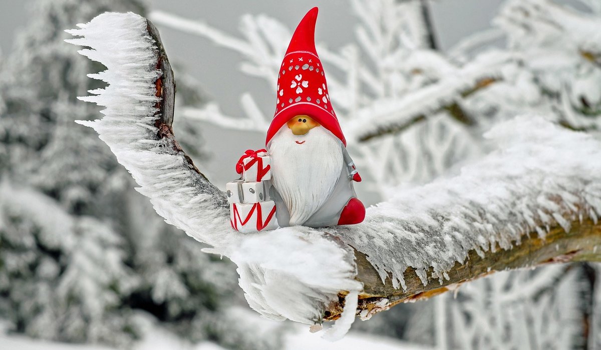 Creating a Wildlife-Friendly Garden Hedge for Birds
