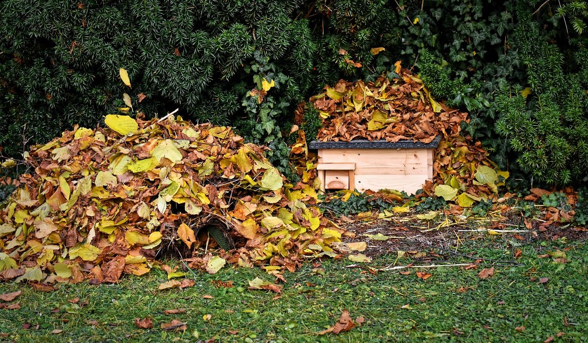 How to Build a Simple Bug Hotel